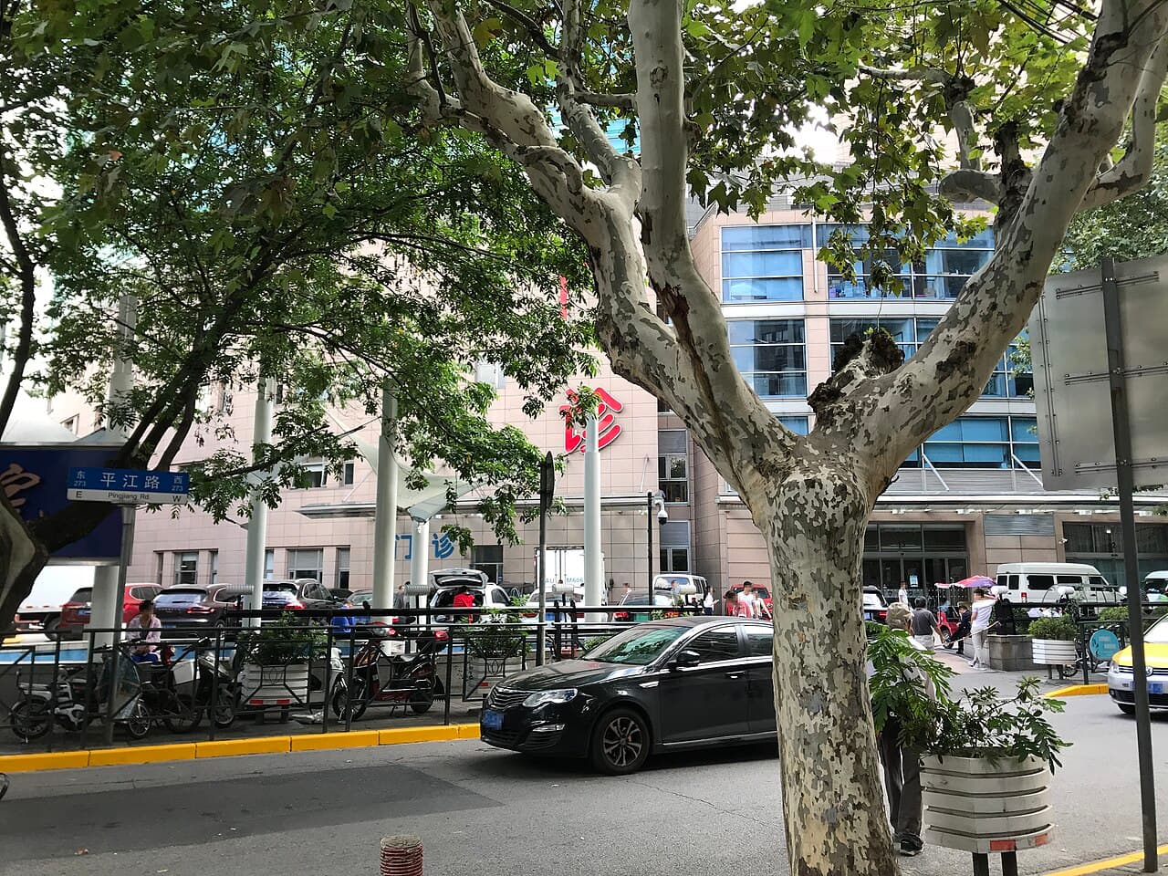 Zhongshan Hospital, Fudan University representative medical setting